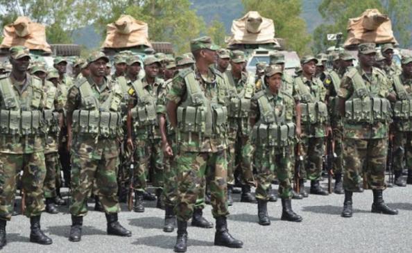 RDF stand by force